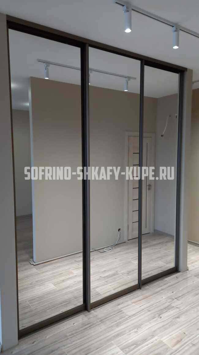 Встроенные шкафы-купе Софрино